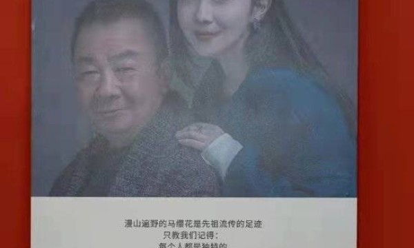 2021第四届中国昆明金茶花文创设计大赛 进入决赛评审